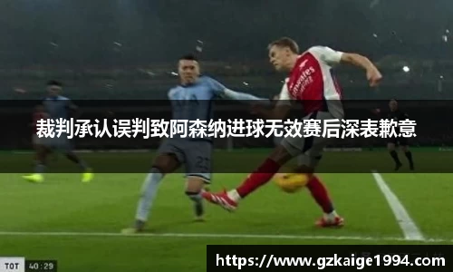 裁判承认误判致阿森纳进球无效赛后深表歉意